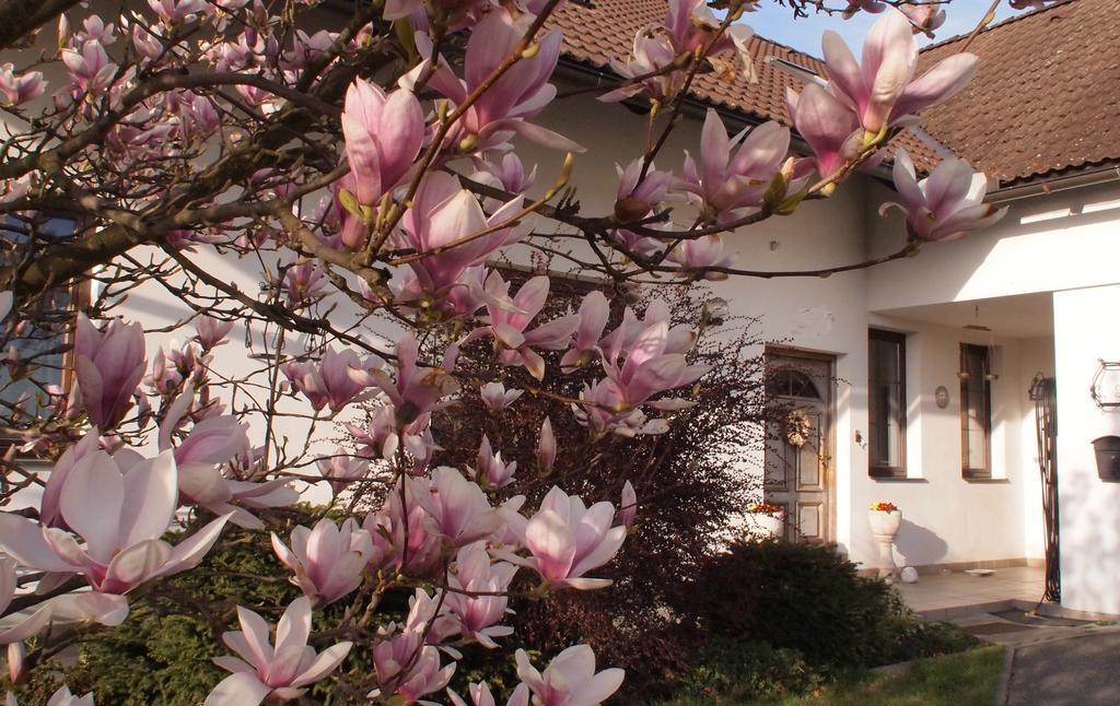 Apartmany Pod Kozakovem Tatobity Dış mekan fotoğraf