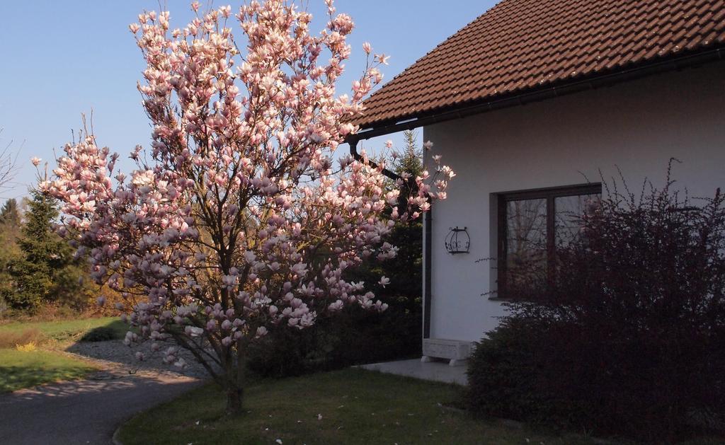 Apartmany Pod Kozakovem Tatobity Dış mekan fotoğraf